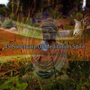 Обложка: Yoga Music - Spirituality