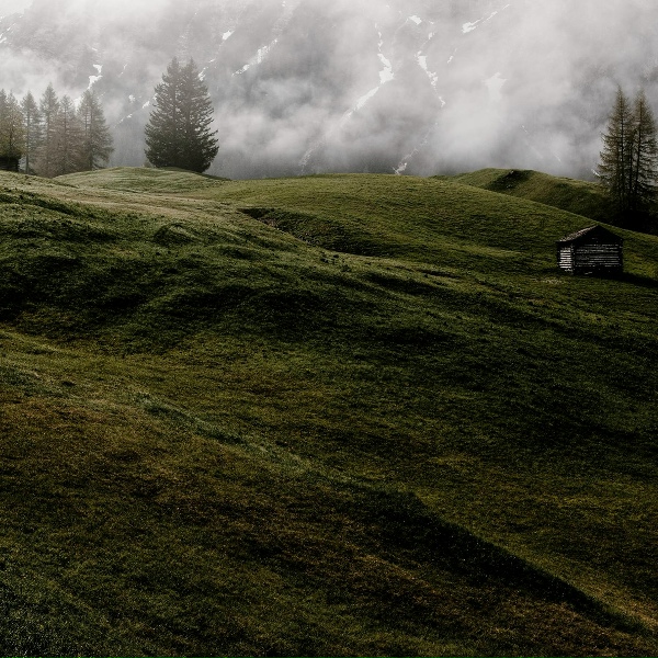 Обложка: Reiki, The Relaxing Sounds of Swedish Nature, Deep Rain Sampling - Well Rested