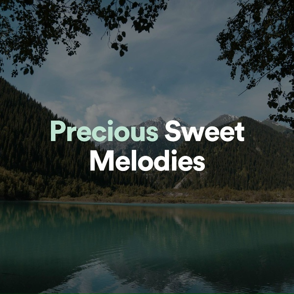 Обложка: Meditation Music - Precious Ambient, Pt. 4