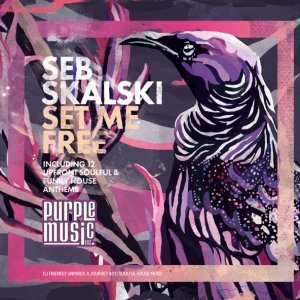 Обложка: Seb Skalski feat. Donald Sheffey - I Am over You