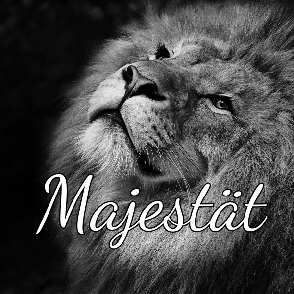 Обложка: Kingside - Messias