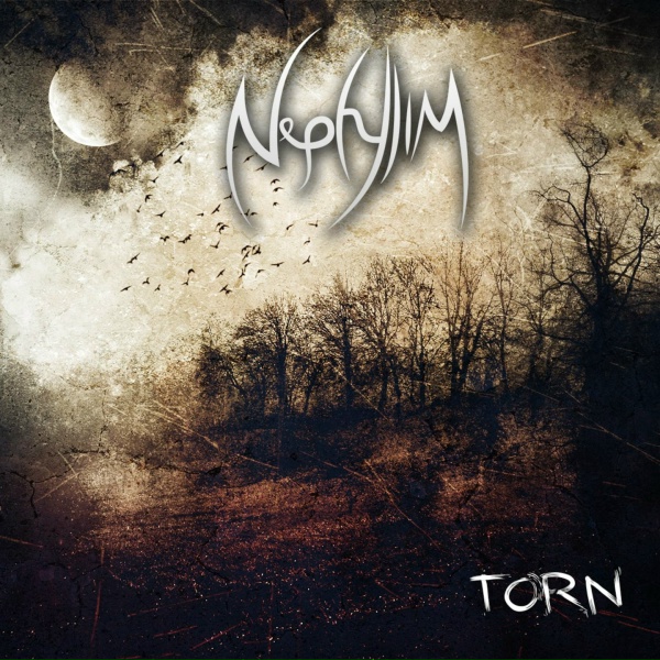 Обложка: Nephylim - Falling Skies