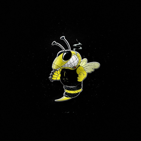Обложка: The Iron Bees, Проект ОИ - Хулиганы