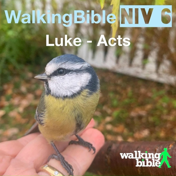 Обложка: WalkingBible - Luke 21:28