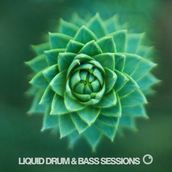 Обложка: RoyGreen & Protone, Ben Soundscape - Long Time