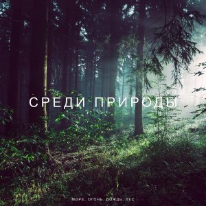 Обложка: Deep Sleep Music Zone - Благодарю за этот день