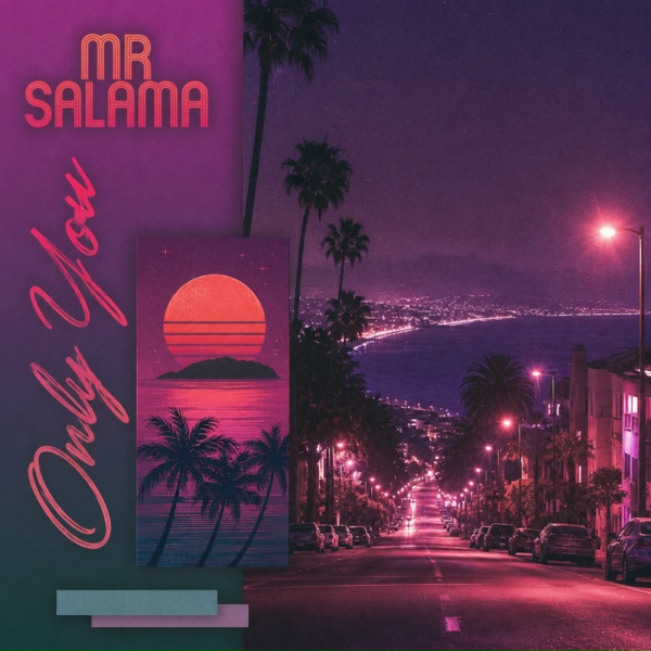 Обложка: Mr Salama - Falling Through the Night