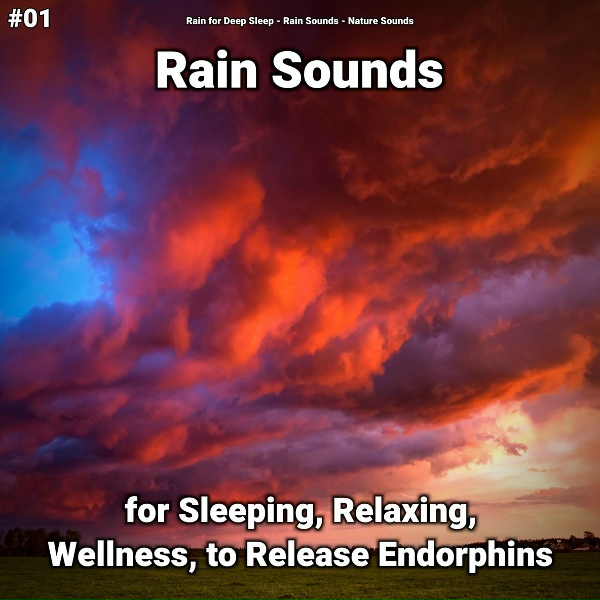 Обложка: Rain for Deep Sleep, Rain Sounds, Nature Sounds - Sleep Sounds