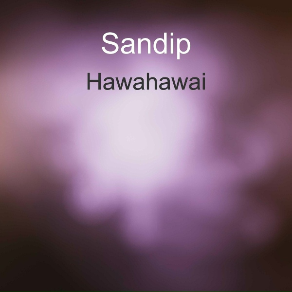 Обложка: Sandip - Mohan