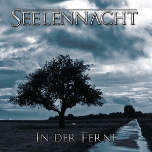 Обложка: Seelennacht - Black Waters