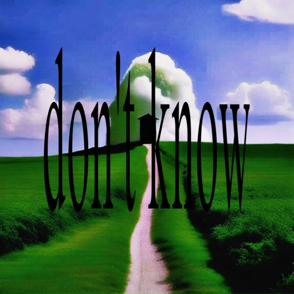 Обложка: mumble - don't know