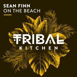 Обложка: Sean Finn - On the Beach