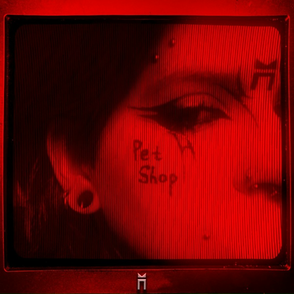 Обложка: Верум Пруно - Pet Shop