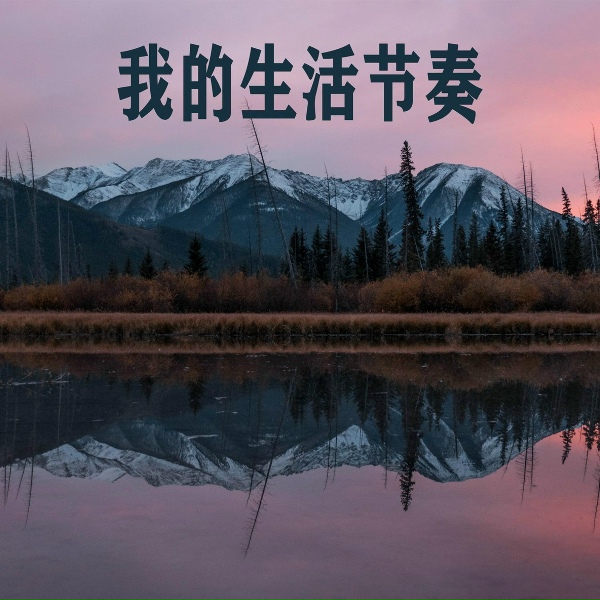 Обложка: 枝涵易 - 钱