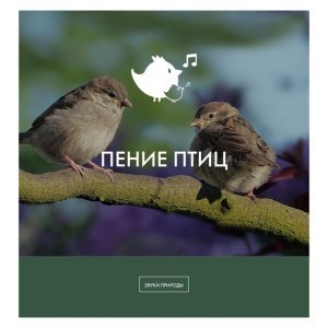 Обложка: Звуки природы - Шум леса