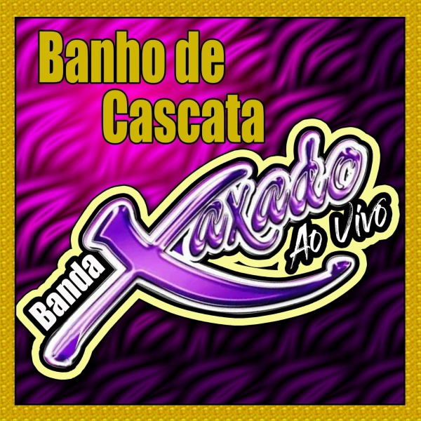 Обложка: BANDA XAXADO - Swing louco