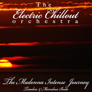 Обложка: The Electric Chillout Orchestra - Into the Groove