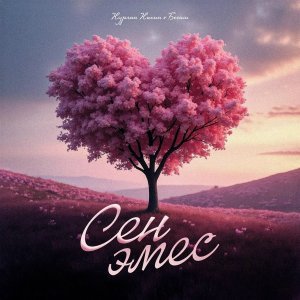 Обложка: Нурлан Насип, Бегиш - Сен эмес