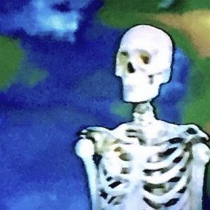 Обложка: BONES - MissingProjectFiles