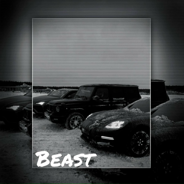 Обложка: VodKe feat. 无 - Beast