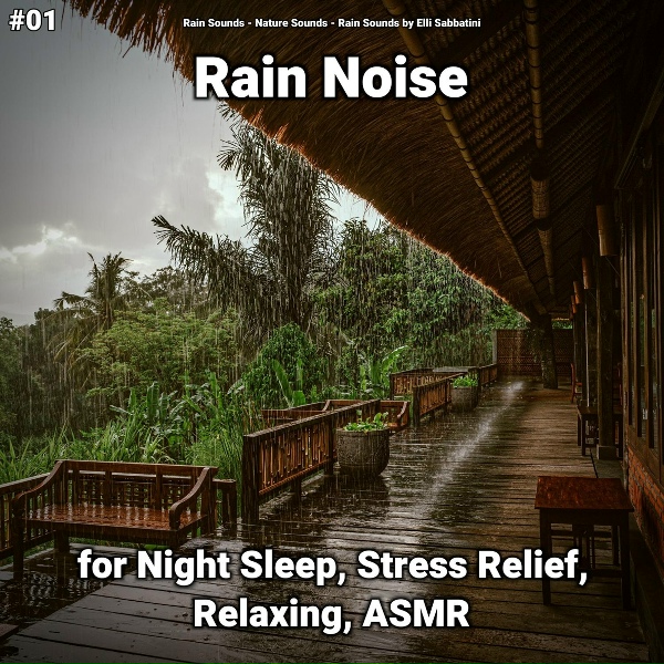 Обложка: Rain Sounds, Nature Sounds, Rain Sounds by Elli Sabbatini - Rain