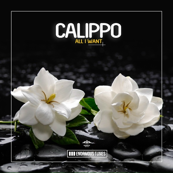 Обложка: Calippo - All I Want