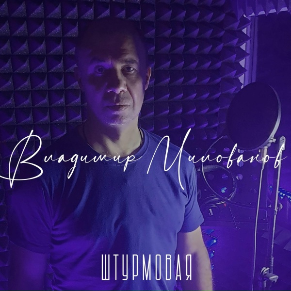 Обложка: Владимир Милованов - Штурмовая