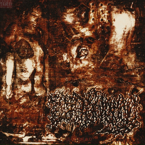 Обложка: Septic Wound - A Corpse so Cold