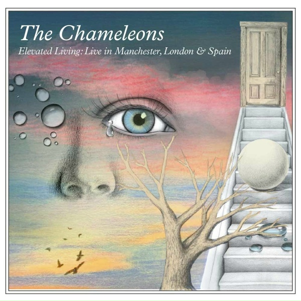 Обложка: The Chameleons - Less Than Human