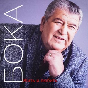 Обложка: Бока - Обида