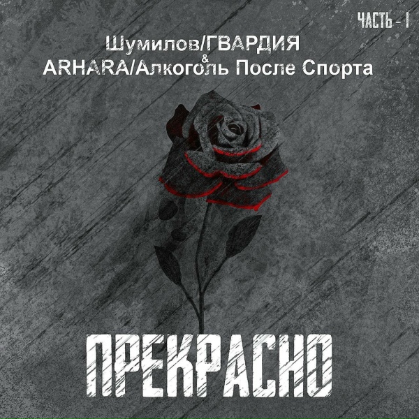 Обложка: Шумилов "ГВАРДИЯ", ARHARA - Бездна