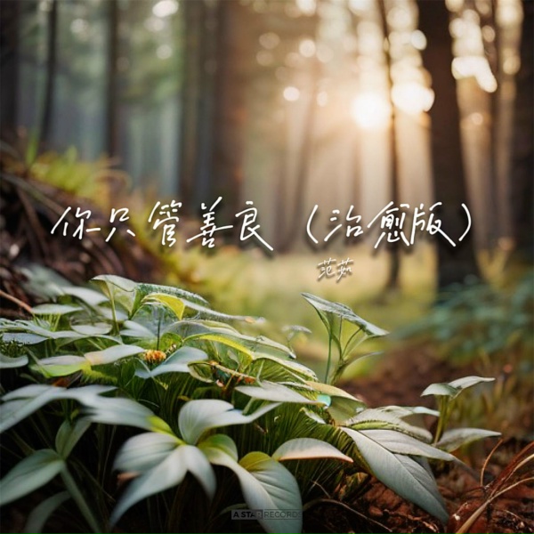 Обложка: 范茹 - 你只管善良