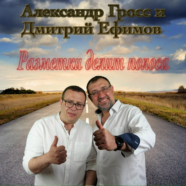 Обложка: Александр Гросс и Дмитрий Ефимов - Разметки делит полоса