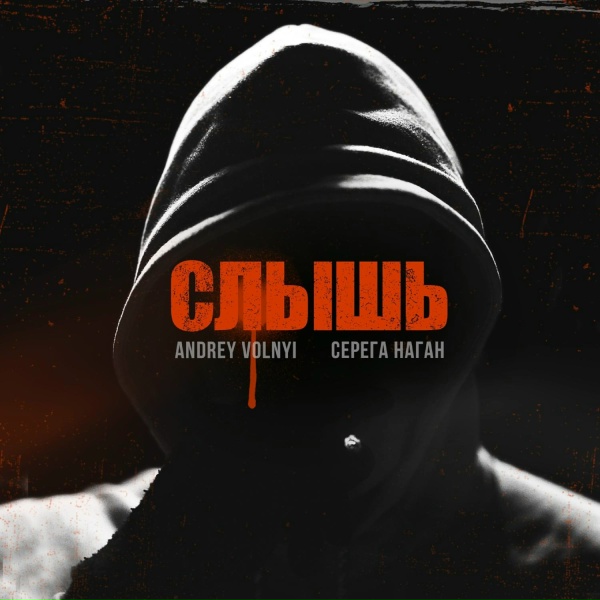 Обложка: Andrey Volnyi, Серёга Наган - Слышь