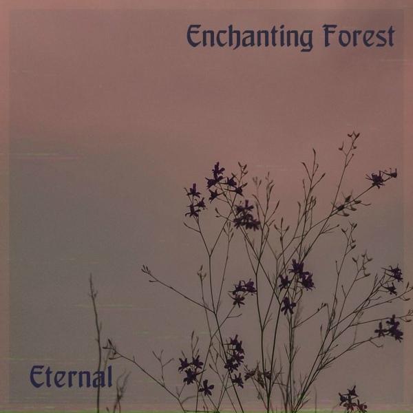 Обложка: Enchanting Forest - Autumn Evening