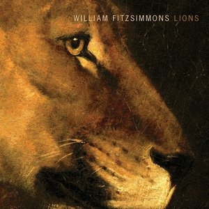 Обложка: William Fitzsimmons - Hold On