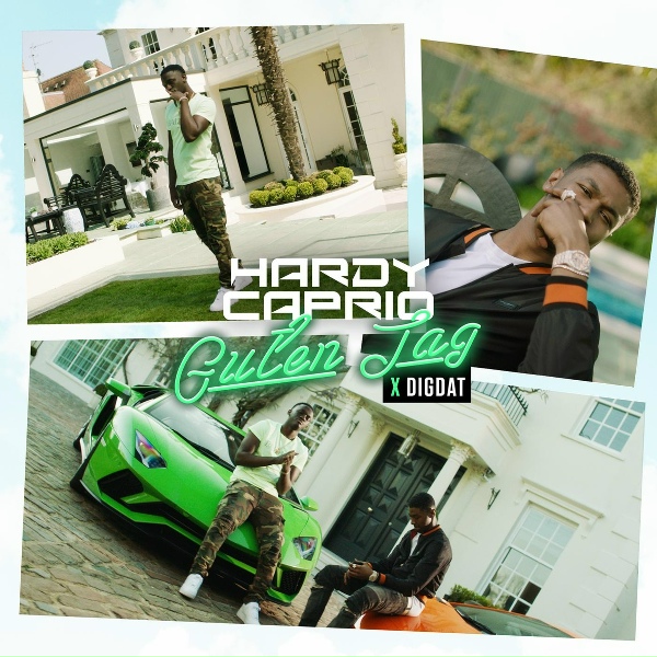Обложка: Hardy Caprio, DigDat - Guten Tag