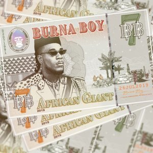 Обложка: Burna Boy - Collateral Damage