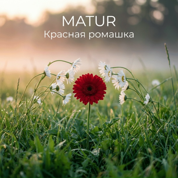 Фото: Matur