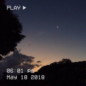 Обложка: Elijah Lee - Dreamy