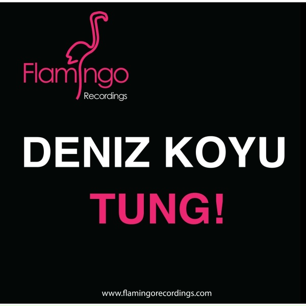 Обложка: Deniz Koyu - Tung!