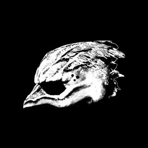 Обложка: Legend of the Seagullmen - Curse of the Red Tide