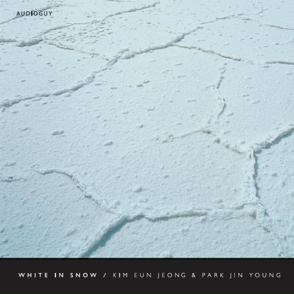 Обложка: Kim Eun Jeong & Park Jin Young - Please