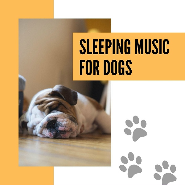 Обложка: Puppy Theatre Sound System - Msuic for Dogs