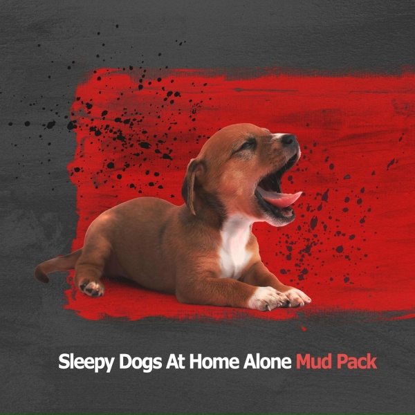 Обложка: Mud Pack - Cryptic Breeze