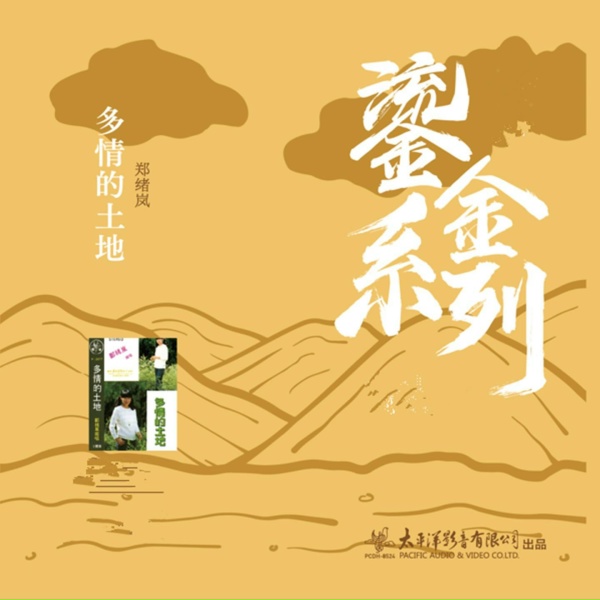 Обложка: 郑绪岚 - 我敢对你说