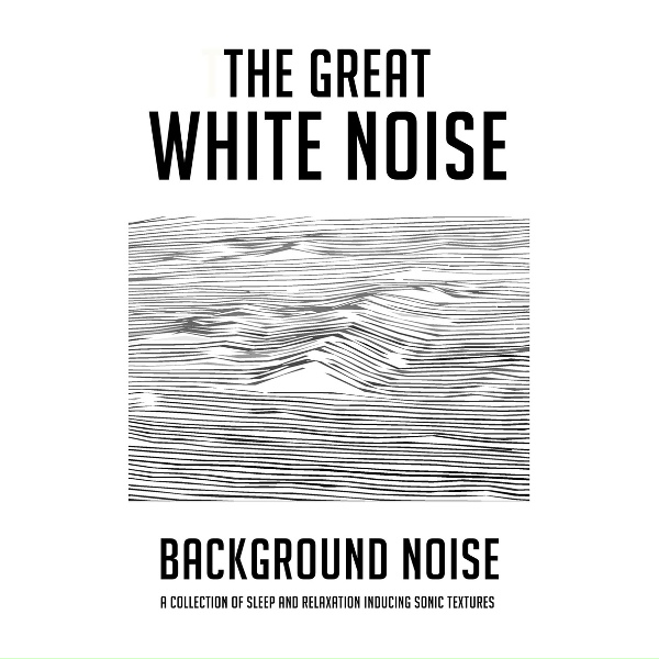 Обложка: The Great White Noise - Hi Speed Box Fan