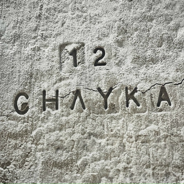 Обложка: CHAYKA - Любить жизнь