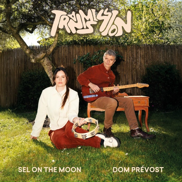 Обложка: Dom Prévost, Sel on the moon - La grande histoire