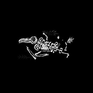 Обложка: джинсы тарковского - невеста